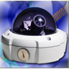 camera chowsons 215-3840 hinh 1